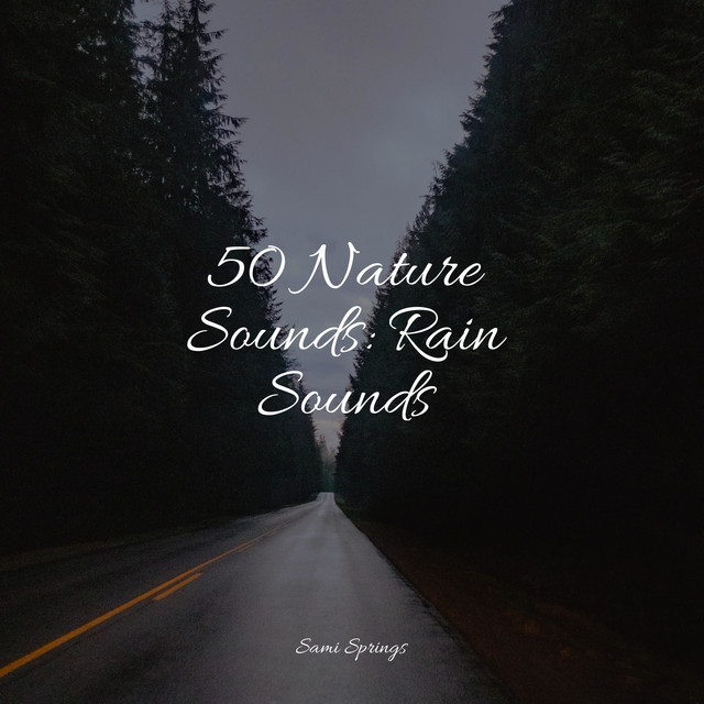 50 Nature Sounds: Rain Sounds - Album by The Sleep Helpers | Spotify