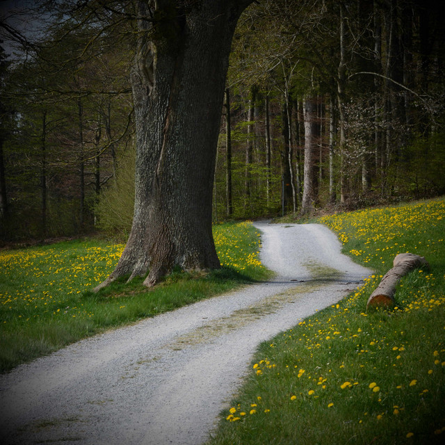 Road Back Home cover art