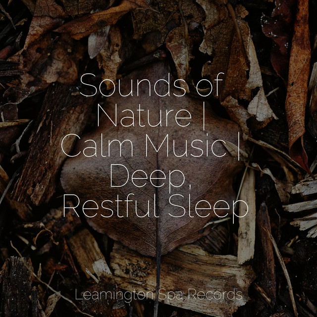 Sounds of Nature | Calm Music | Deep, Restful Sleep - Album by Echoes ...