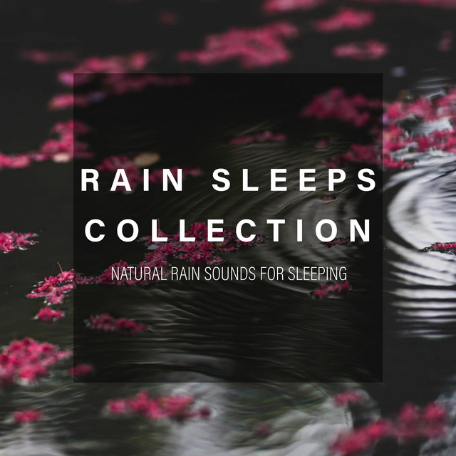 Rain Sleeps Collection - Album by Natural Rain Sounds for Sleeping ...