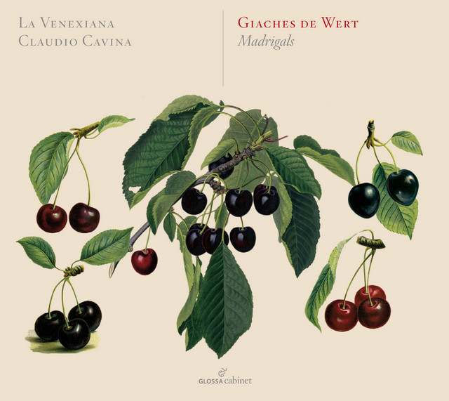 Vezzosi augelli cover art