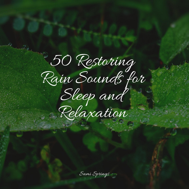 50 Restoring Rain Sounds for Sleep and Relaxation - Album by Ocean ...