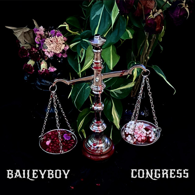 Congress cover art