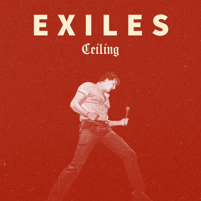 Ceiling cover art