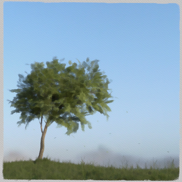 Second Wind cover art