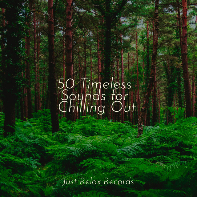50 Timeless Sounds for Chilling Out - Album by Musica Romantica ...