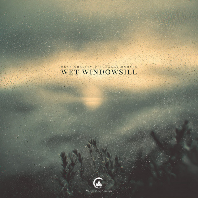Wet Windowsill