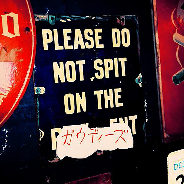 Please Do Not Spit On The Gaudies cover art