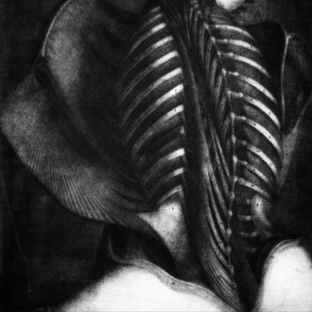 Rites of Lunacy cover art