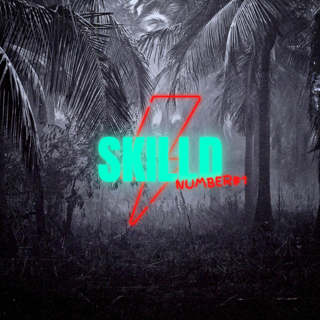 Slice cover art
