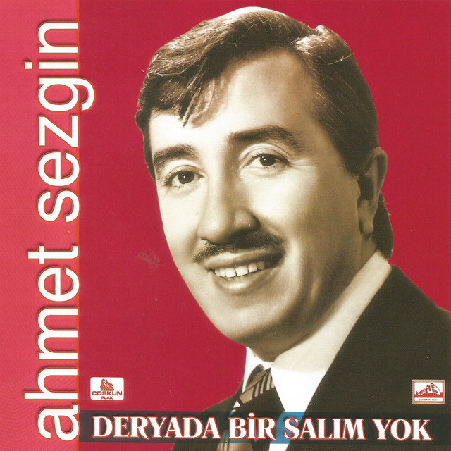 Deryada Bir Salım Yok cover
