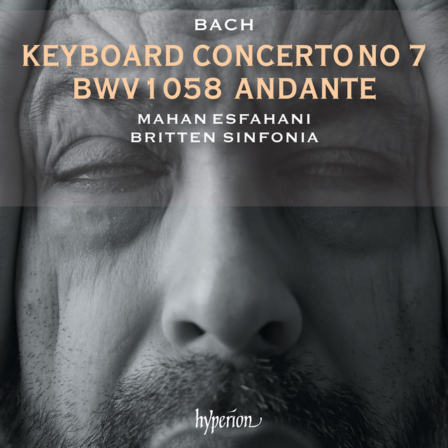Keyboard Concerto in G Minor, BWV 1058 (After BWV 1041): II. Andante