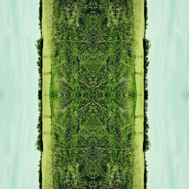 Fleeting cover art