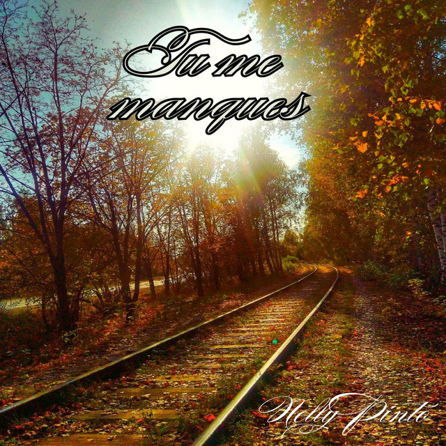 Cover du titre Tu me manques