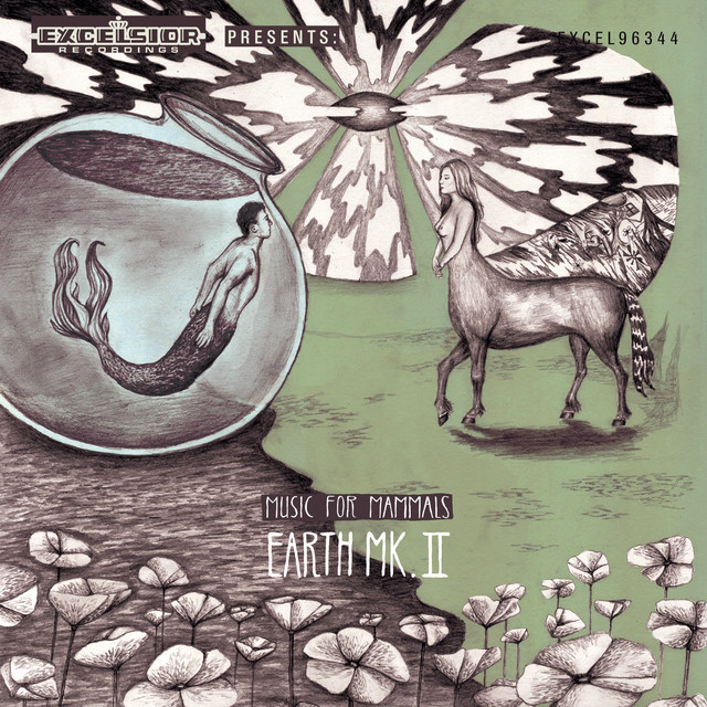 Earth Mk. II Photo