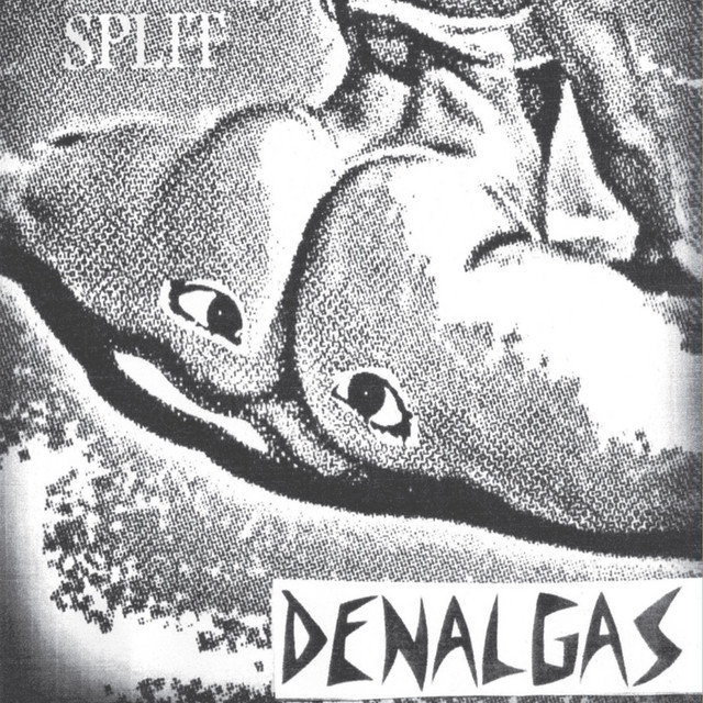 Split cover art