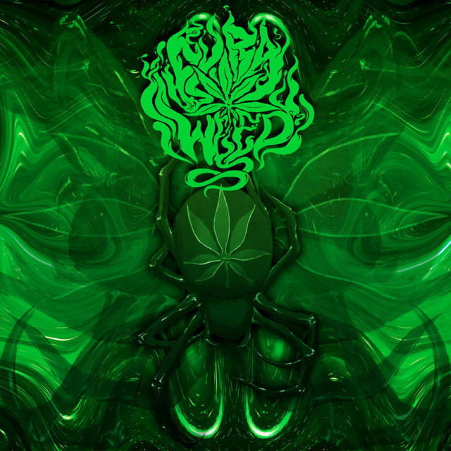 Boris the Spider cover