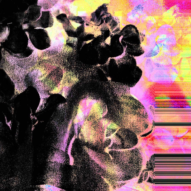 Dreamcometru cover art