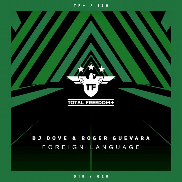 Foreign Language - Extended Mix album art