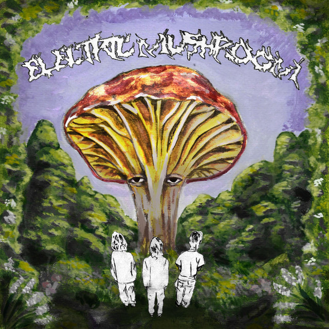 ELECTRIC MUSHROOM cover art