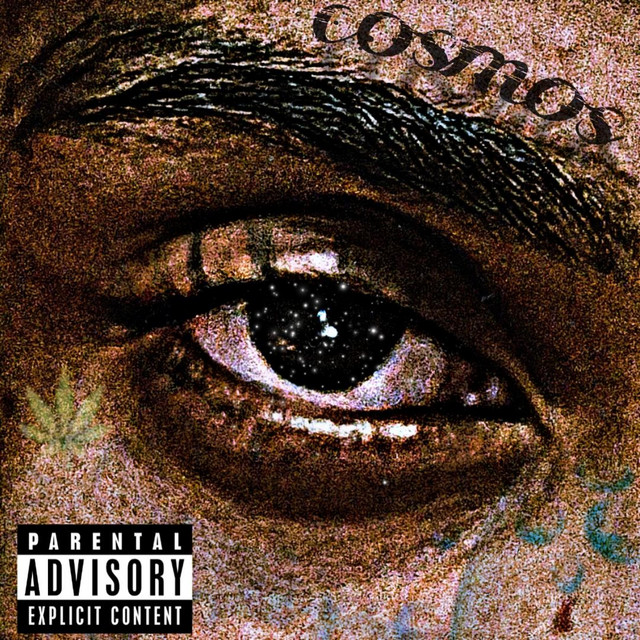 COSMOS cover art
