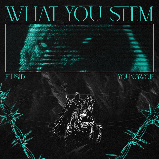WHAT YOU SEEM