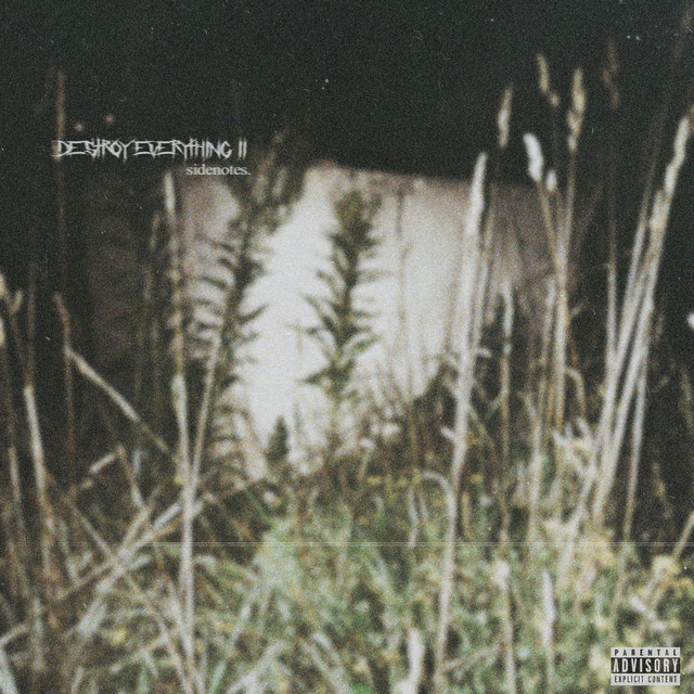 DESTROY EVERYTHING II cover art
