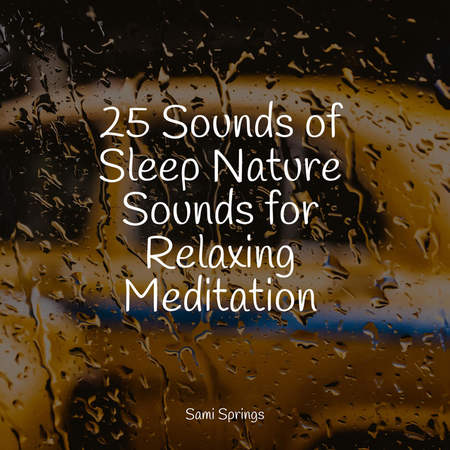 25 Sounds of Sleep Nature Sounds for Relaxing Meditation - Album by ...