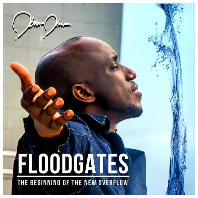 Floodgates: The Beginning of the New Overflow cover art