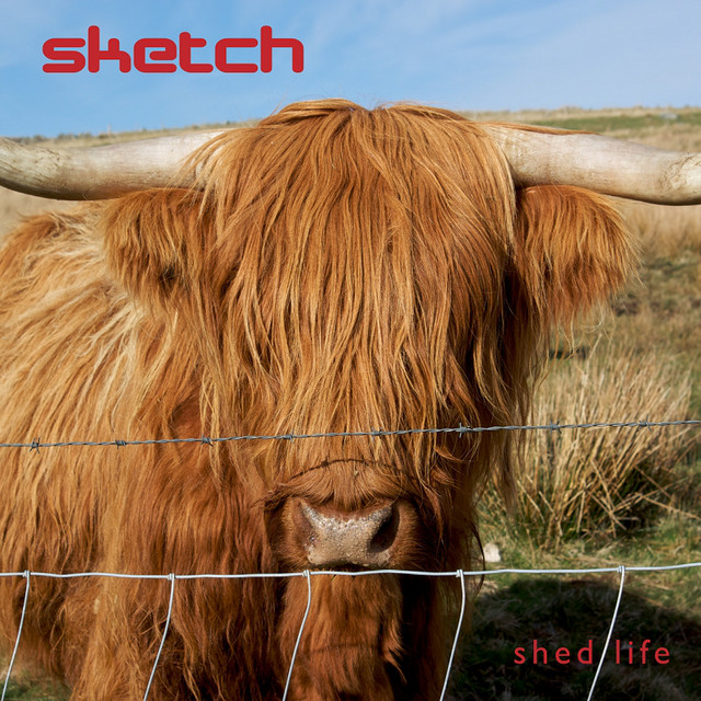 Shed Life cover art