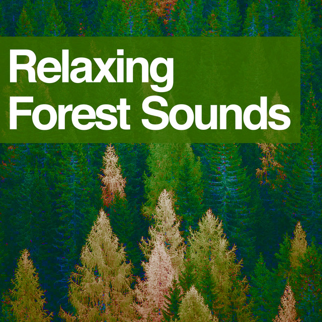 Relaxing Forest Sounds ! ! ! ! - Album by Pro Sounds of Nature | Spotify