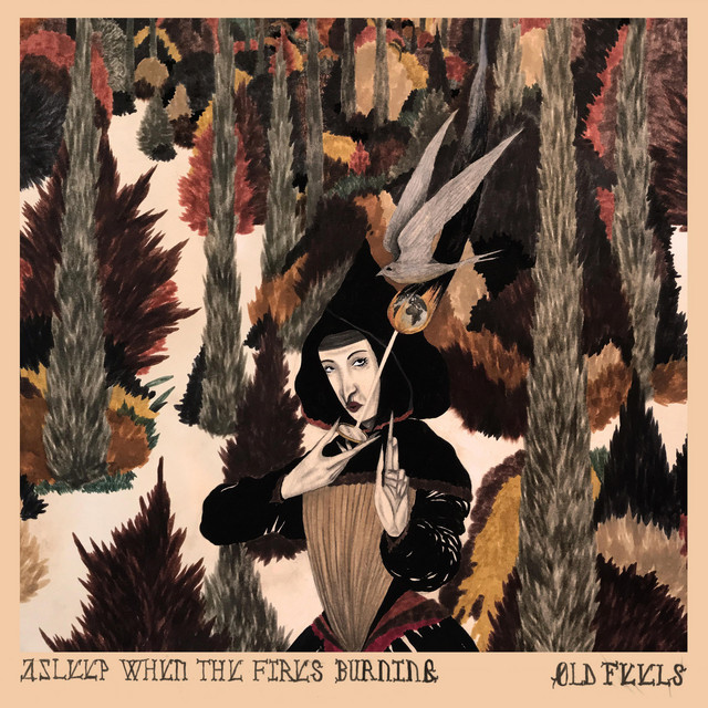 Asleep When The Fire's Burning cover