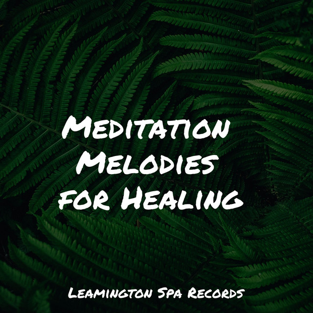 Meditation Melodies for Healing - Album by Nature Sounds Artists | Spotify