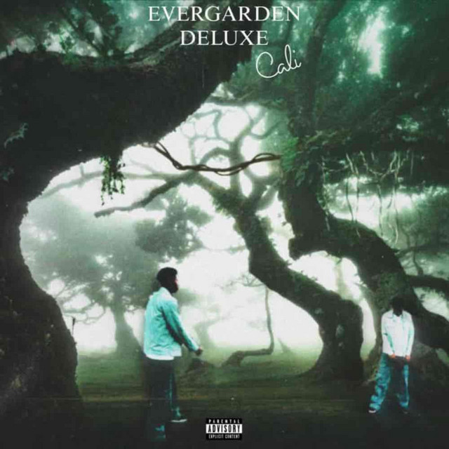 EVERGARDEN(DELUXE) cover art