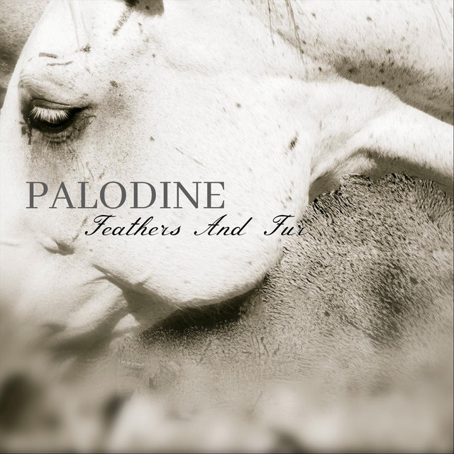 Feathers and Fur cover art