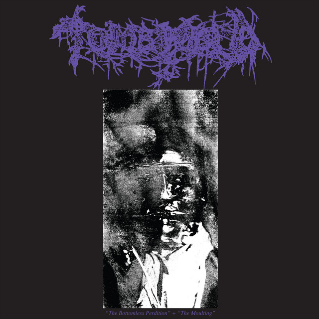 The Bottomless Perdition / The Moulting cover art