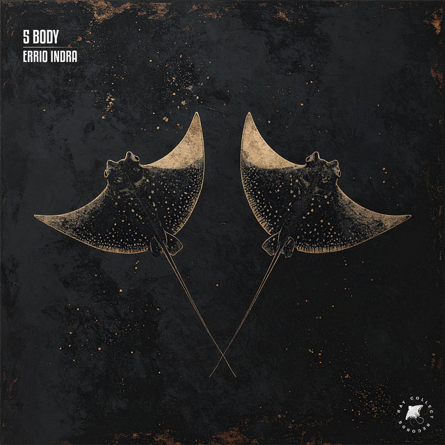 5 Body