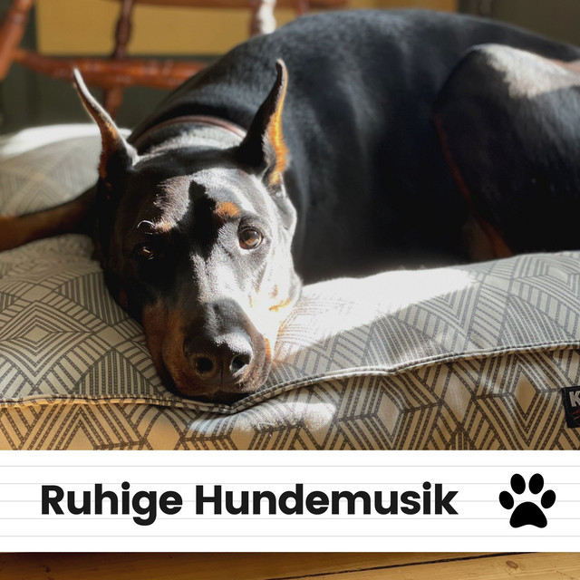 Ruhige Hundemusik cover art