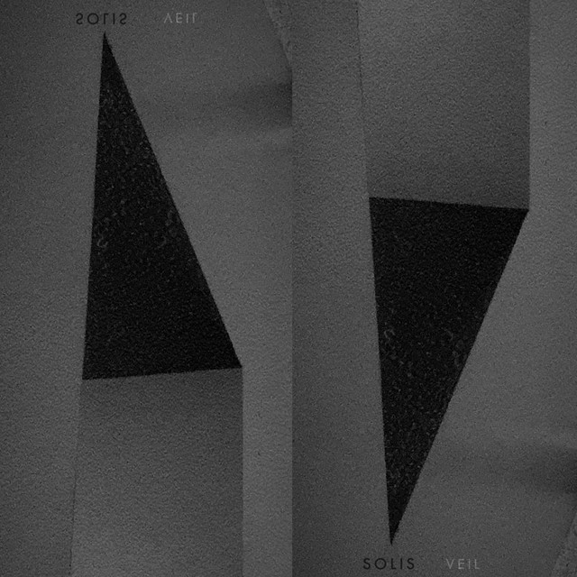 Veil cover art