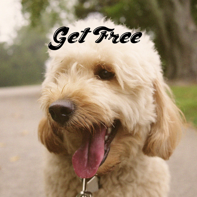 Get Free cover