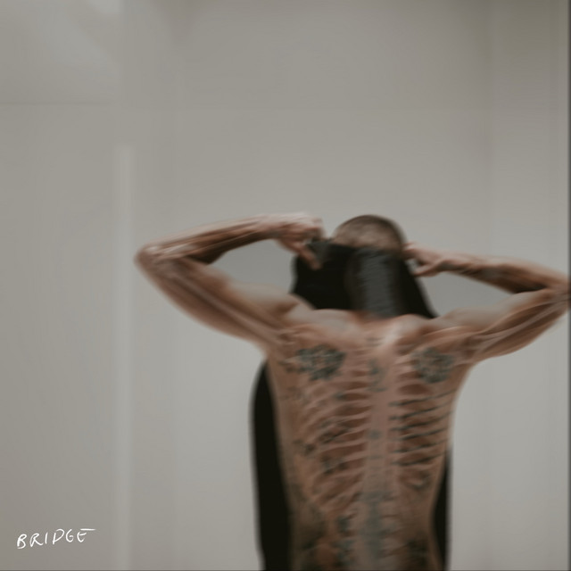 ANIMAL cover art