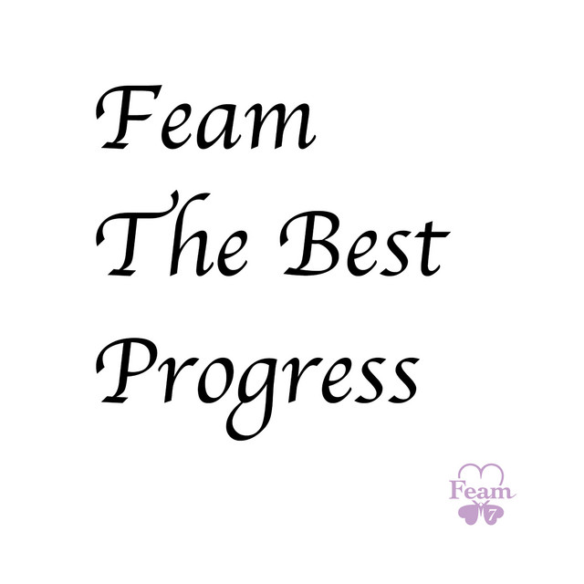 Feam The Best Progress cover art