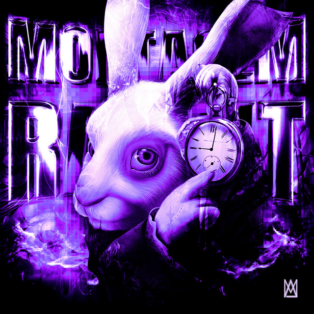 MONTAGEM RABBIT