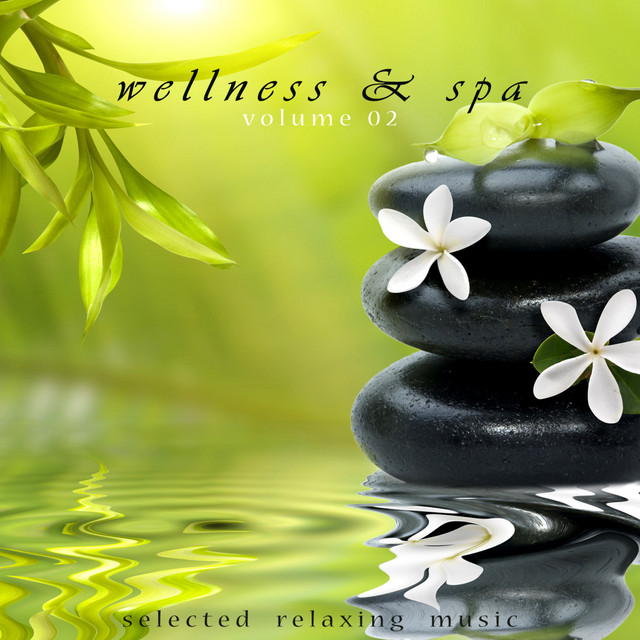 Wellness & Spa Volume 2 cover art
