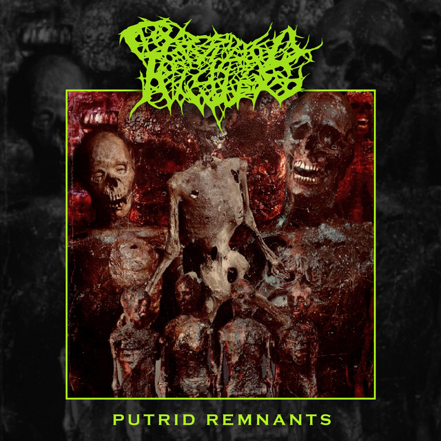 Putrid Remnants cover art