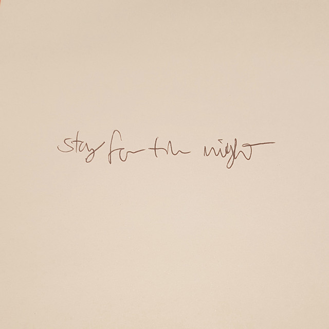 stay for the night cover