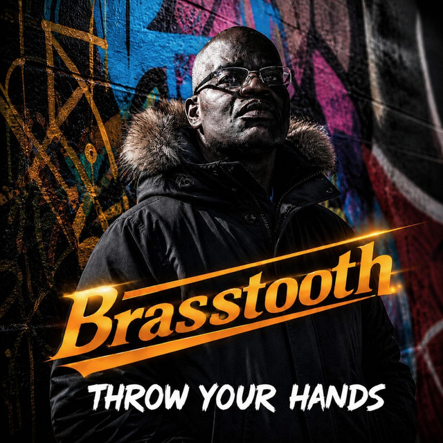 Throw Your Hands (BT Radio Edit) cover
