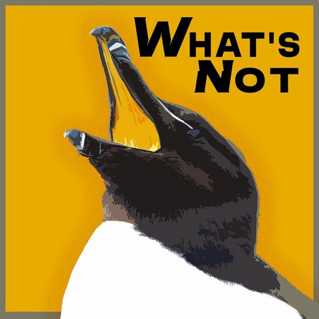 What's Not (Demo Album) cover art
