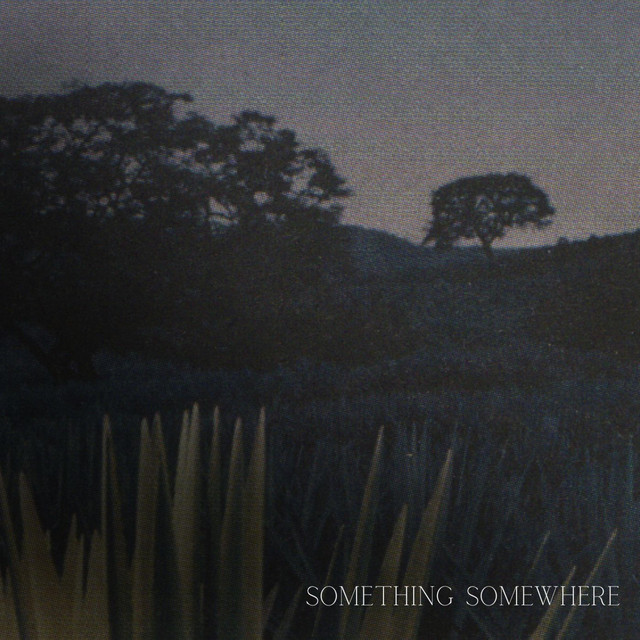 Something Somewhere cover