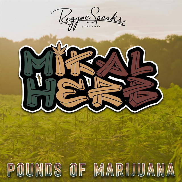 Mikal Herb